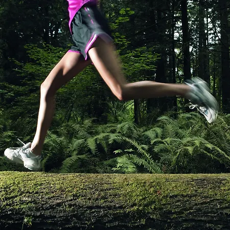 Hotel Moevenpick Airport 4*